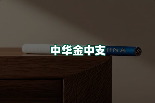 中华金中支